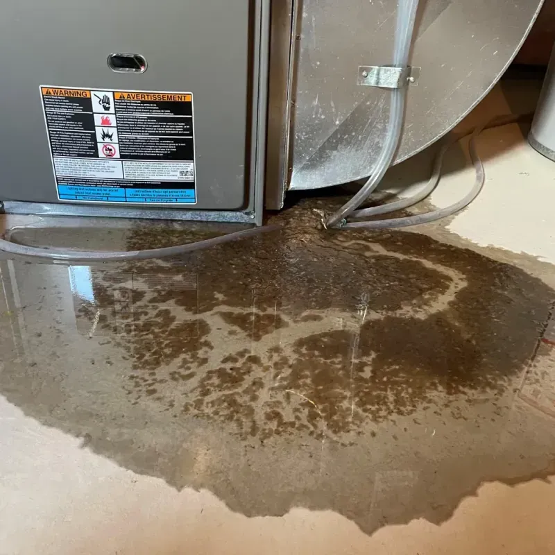 Appliance Leak Cleanup in McDonald County, MO